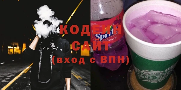 хмурый Алзамай