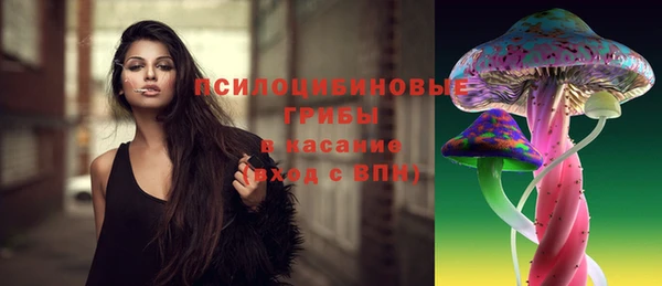 хмурый Алзамай