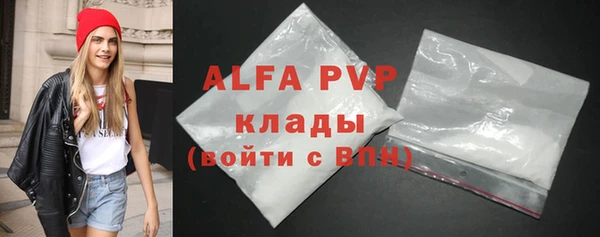 стафф Алексин