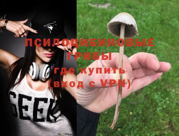 хмурый Алзамай