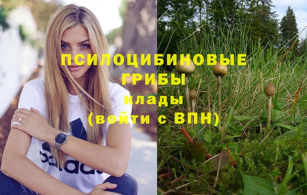 хмурый Алексеевка