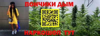 каннабис Новодвинск