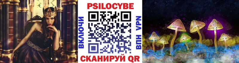 как найти   Тайшет  Псилоцибиновые грибы мухоморы 