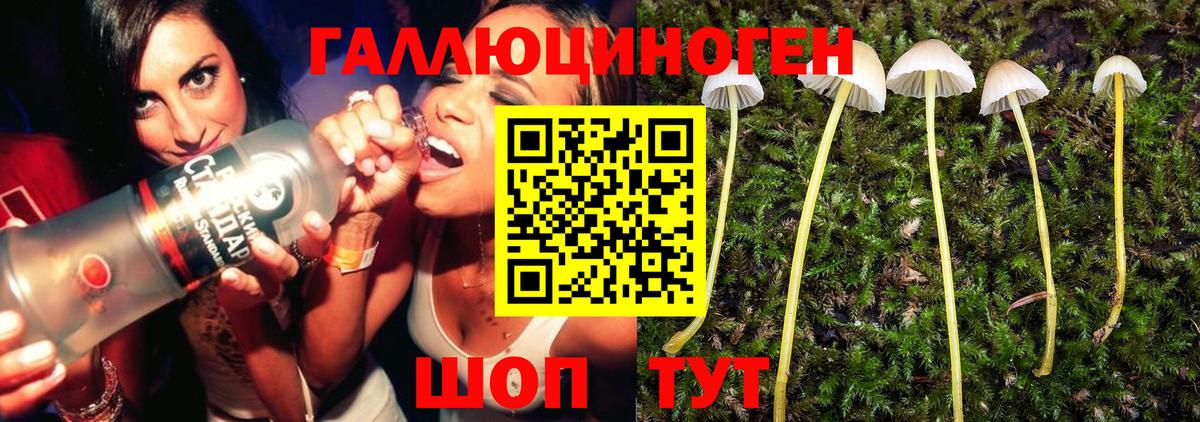Тайшет  Галлюциногенные грибы мицелий  Вход с VPN 