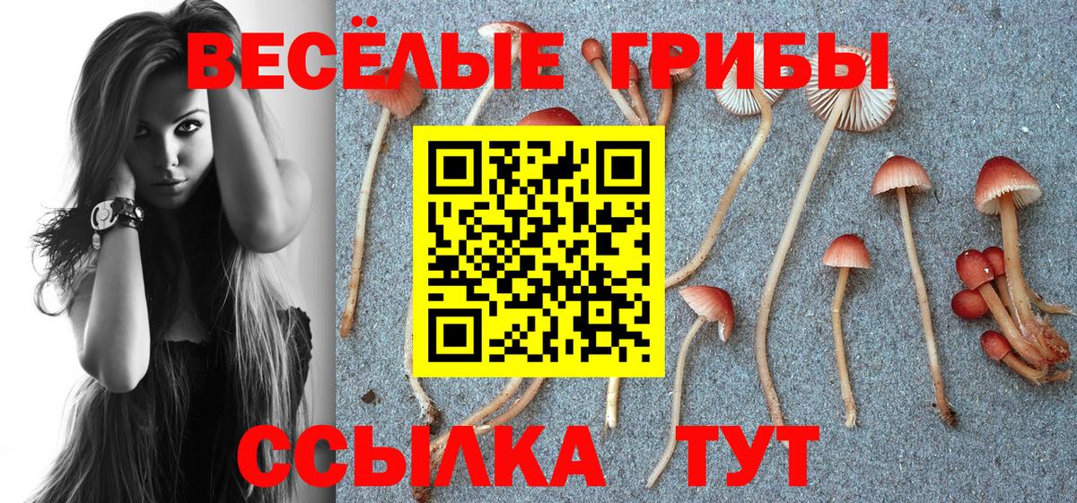 Галлюциногенные грибы Cubensis Тайшет