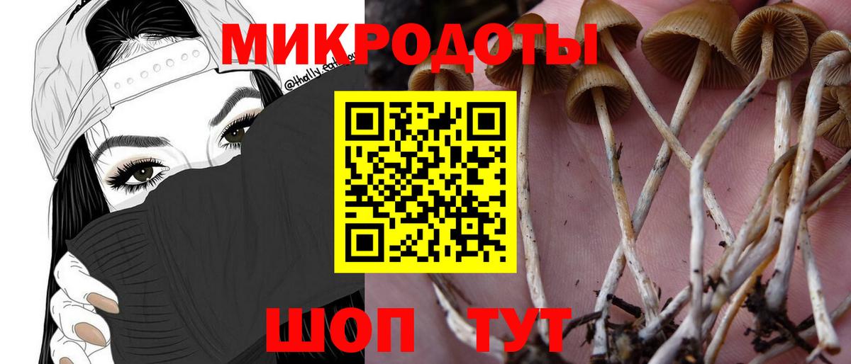 Тайшет  КОКАИН  Меф кристаллы  Вход с VPN  Лсд 25  Каннабис  ГАШ 